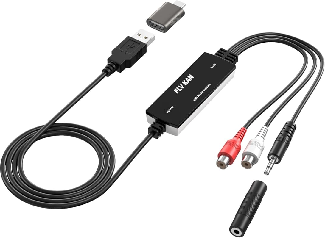 USB audio grabber with dual inputs for converting vinyl and cassette t